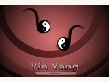 Yin_yang


(145)