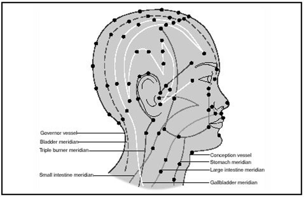 Точки на затылке. Меридианы и точки акупунктуры. Точки акупунктуры на голове. Точки акупунктуры на голове человека. Акупунктурные точки на голове и лице.